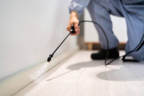 Licensed Fumigation Services service in Pojoaque, NM - Nex Pest Control