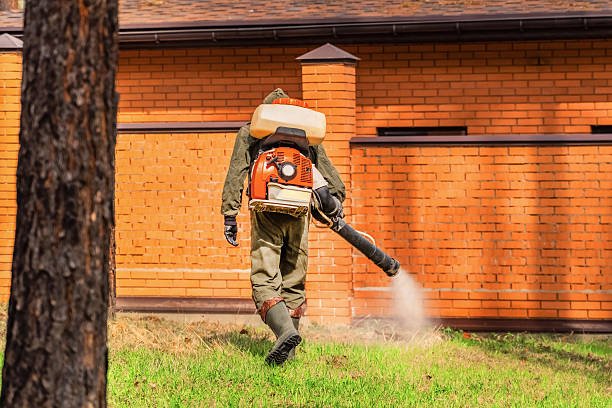 Trusted Termite Control service in Pojoaque, NM - Nex Pest Control